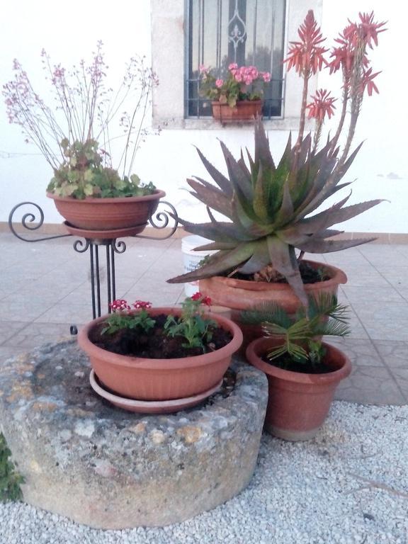 Apartmán Trulli Sarmenzanello Noci Exteriér fotografie