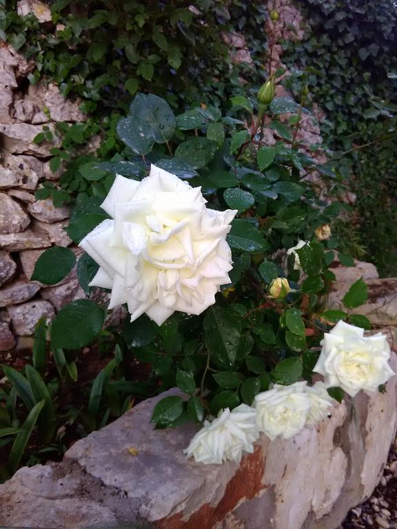 Apartmán Trulli Sarmenzanello Noci Exteriér fotografie